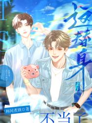 《这替身老子不当了》封面