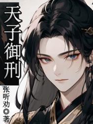 《天子御刑》封面