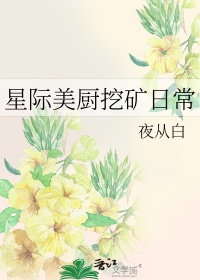 《星际美厨挖矿日常》封面