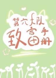 《第六大队致富手册[七零]》封面