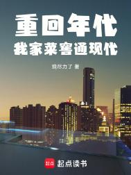 《重回年代：我家菜窖通现代》封面