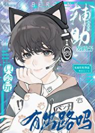 《只会玩辅助的男孩子有出路吗？》封面