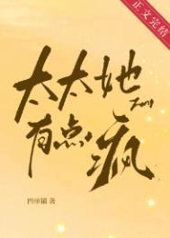 《太太她有点疯》封面