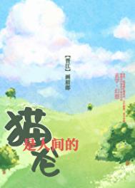 《猫是人间的龙》封面