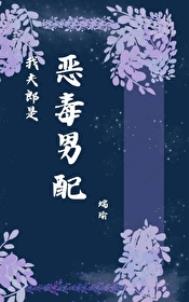 《我夫郎是恶毒男配》封面