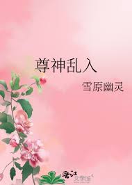 《尊神乱入》封面