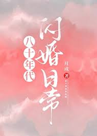 《八十年代闪婚日常》封面