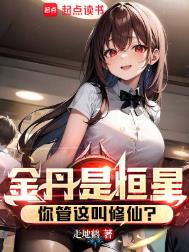 《金丹是恒星，你管这叫修仙？》封面