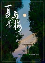 《夏与青梅/明恋她》封面