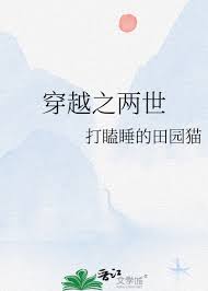 《穿越之两世》封面