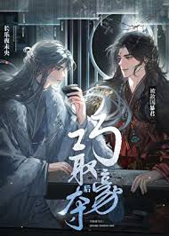 《被敌国暴君巧取豪夺后》封面