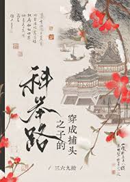 《高门寒婿的科举路》封面