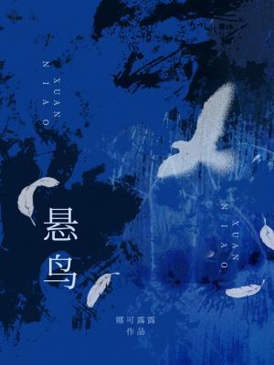 《悬鸟》封面