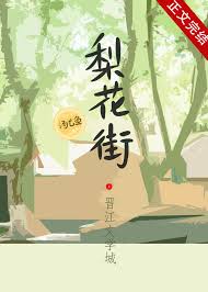 《梨花街》封面