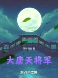 《大唐天将军》封面