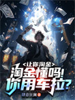 《让你淘金，淘金懂吗！你用车拉？》封面