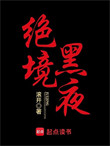 《绝境黑夜》封面