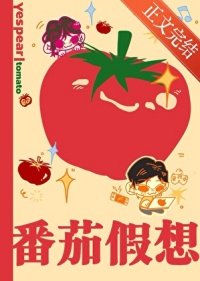 《番茄假想》封面