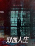 《双面人生》封面