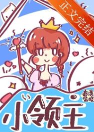 《小领主》封面