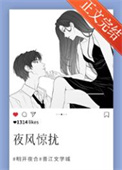 《夜风惊扰》封面