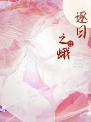 《逐日之蛾》封面