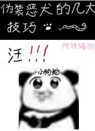 伪装恶犬的几大技巧