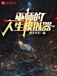 《巫师的人生模拟器》封面