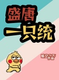 《盛唐一只统》封面