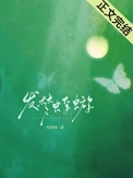 发梦蜉蝣封面