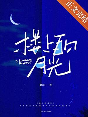 《楼上的月光》封面