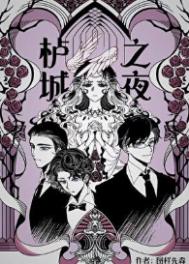 《栌城之夜》封面