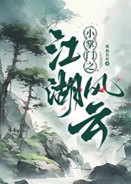 《小掌门之江湖风云》封面