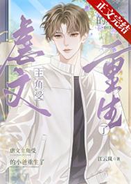 虐文主角受的小爸重生了封面
