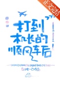 打到机长的顺风车后封面
