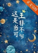 《这王是非当不可吗》封面