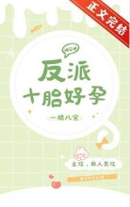 《反派十胎好孕》封面
