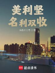 《美利坚名利双收》封面