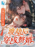 《渡劫后穿成赘婿》封面