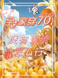 《全家穿70，没有系统怎么行》封面