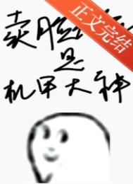 卖脸花瓶是机甲大神