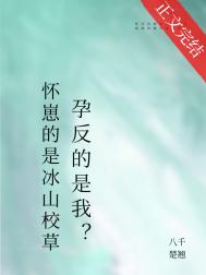 《怀崽的是清冷美人，宿敌孕反？》封面