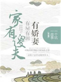 《家有傻夫：有屋有田有娇妻》封面