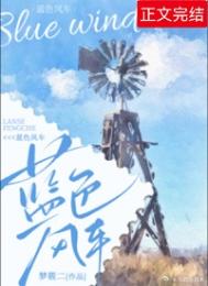 《蓝色风车》封面
