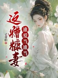 《这糟糠妻谁爱当谁当》封面