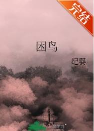 《困鸟》封面