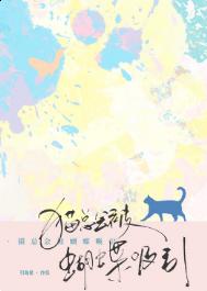 猫总会被蝴蝶吸引封面