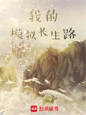 《我的模拟长生路》封面