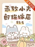 乖软小夫郎换嫁后封面
