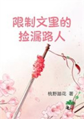 《限制文里的捡漏路人》封面